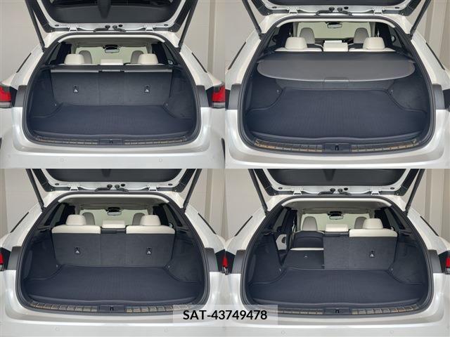 Lexus RX 2023-10 299134-5