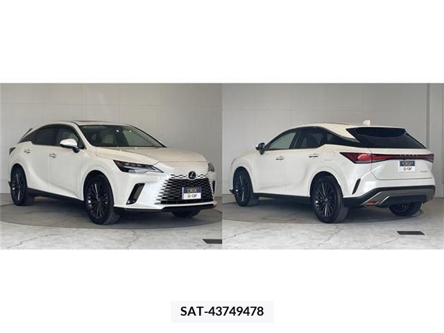 Lexus RX 2023-10 299134-12