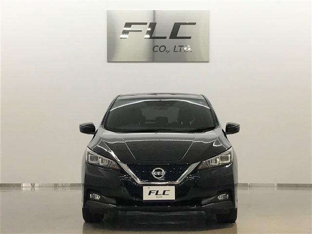 Nissan LEAF 2018-08 6490-1