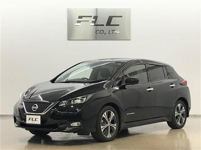Nissan LEAF 2018-08 6490-0