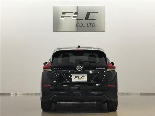 Nissan LEAF 2018-08 6490-3