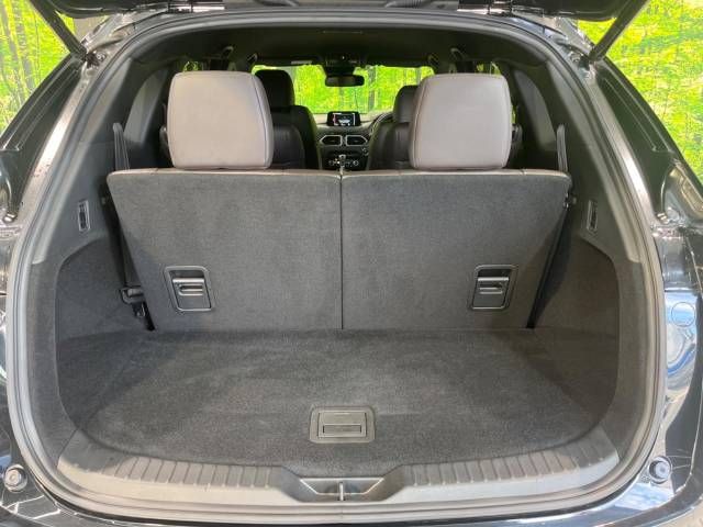 Mazda CX-8 2018-06 22815-12