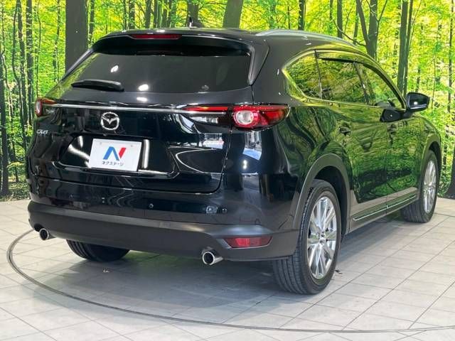 Mazda CX-8 2018-06 22815-16