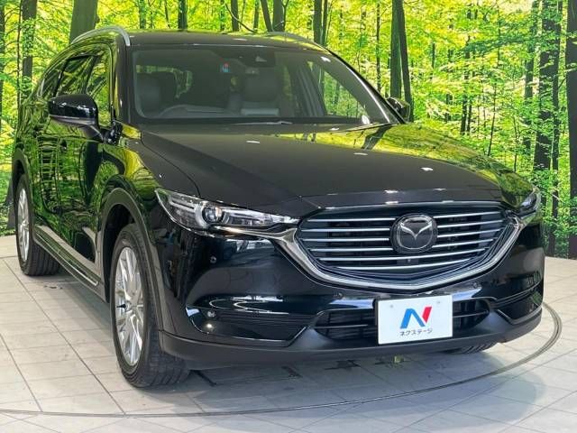 Mazda CX-8 2018-06 22815-15