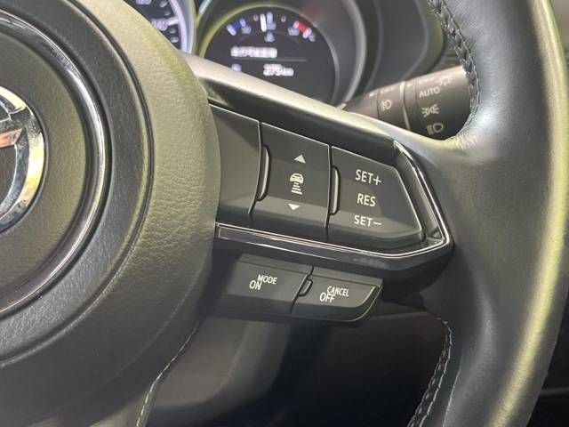 Mazda CX-8 2018-06 22815-5