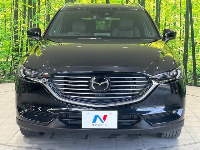Mazda CX-8 2018-06 22815-14