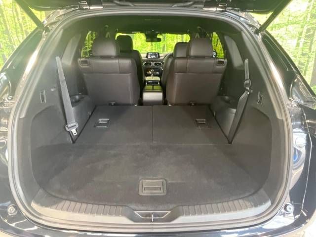 Mazda CX-8 2018-06 22815-13