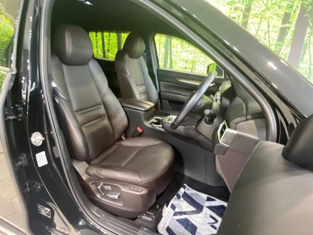 Mazda CX-8 2018-06 22815-9