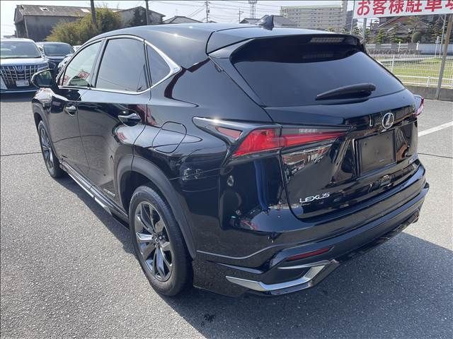 Lexus NX 2018-02 500-2