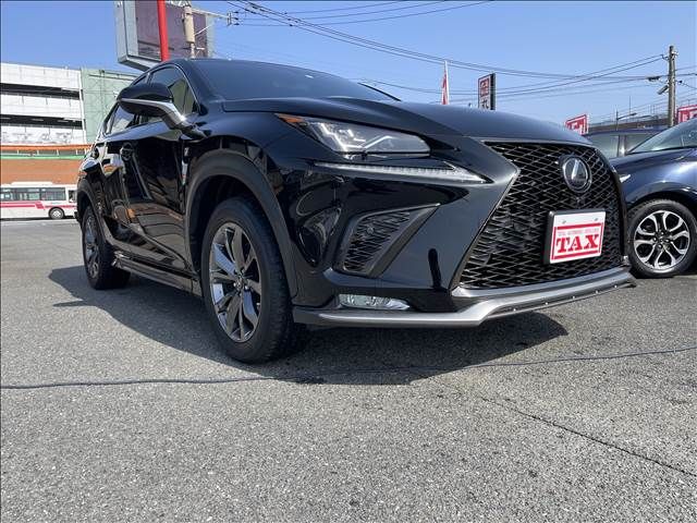 Lexus NX 2018-02 500-6