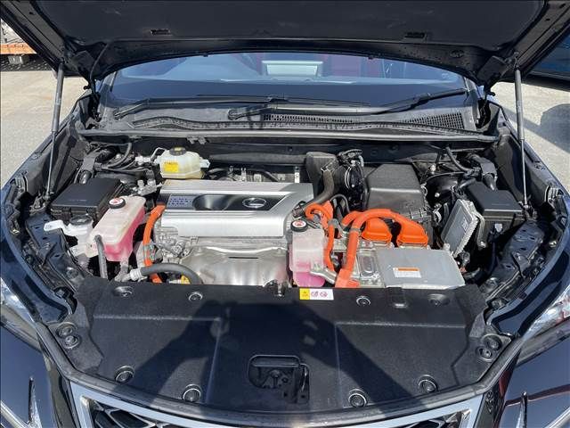 Lexus NX 2018-02 500-17