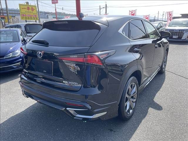 Lexus NX 2018-02 500-13
