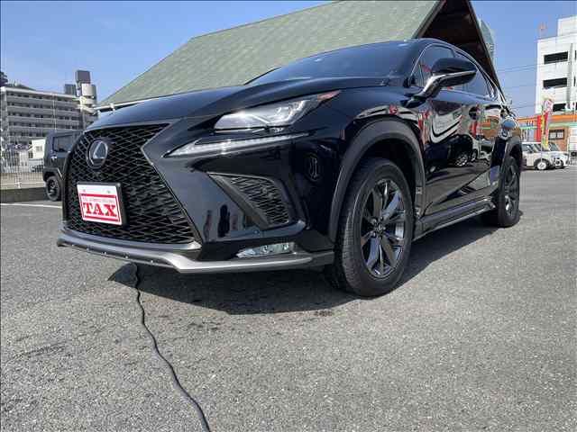 Lexus NX 2018-02 500-0