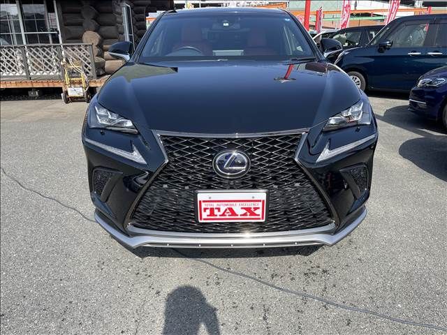 Lexus NX 2018-02 500-16