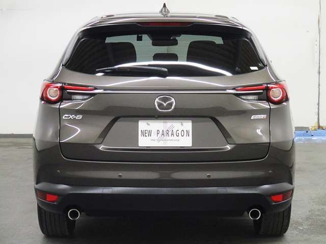 Mazda CX-8 2018-09 13716-3