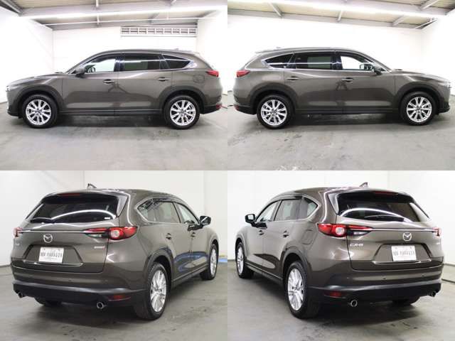 Mazda CX-8 2018-09 13716-2