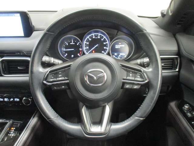 Mazda CX-8 2018-09 13716-13