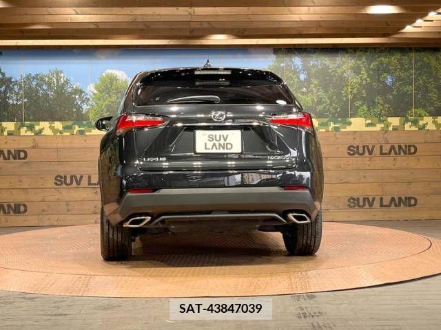 Lexus NX 2016-06 275559-16
