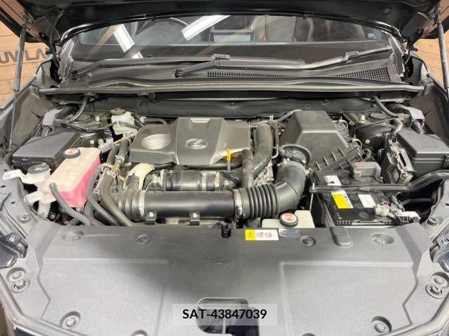 Lexus NX 2016-06 275559-11