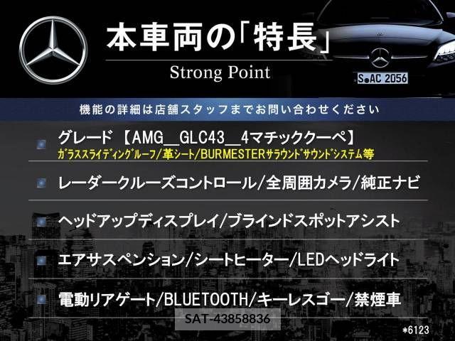 Amg C-CLASS 2018-02 356061-2