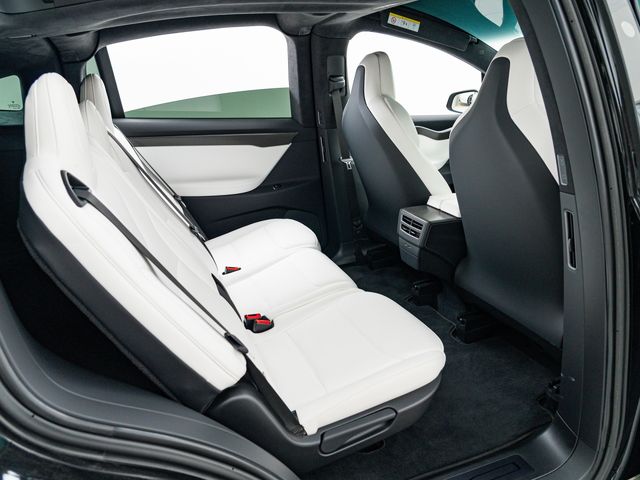 Tesla MODEL X 2020-04 8271-18