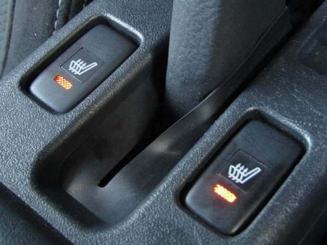 Daihatsu COPEN 2020-01 5599-8