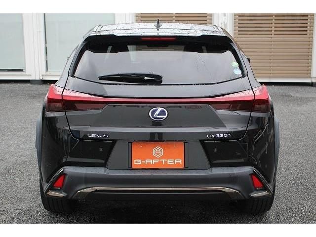 Lexus UX 2018-12 11129-7
