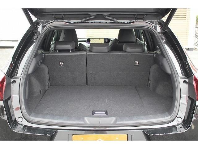 Lexus UX 2018-12 11129-16