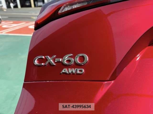 Mazda CX-60 2022-08 295987-10