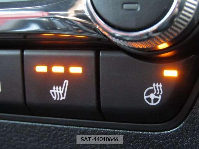 Mazda MAZDA3 2019-08 220079-11