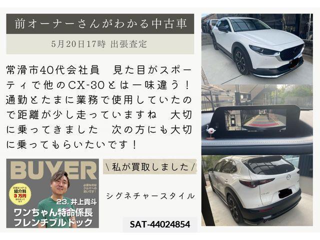 Mazda CX-30 2022-06 383889-12
