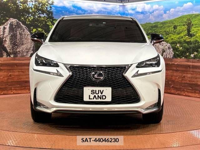 Lexus NX 2017-06 275597-14