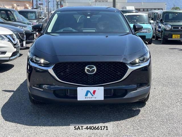 Mazda CX-30 2021-08 265572-14