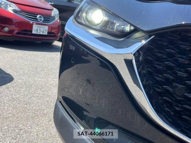Mazda CX-30 2021-08 265572-12