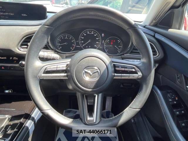Mazda CX-30 2021-08 265572-11