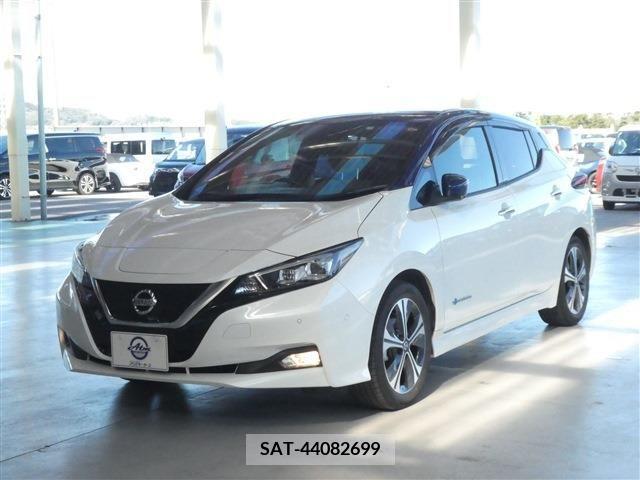 Nissan LEAF 2019-03 222091-0