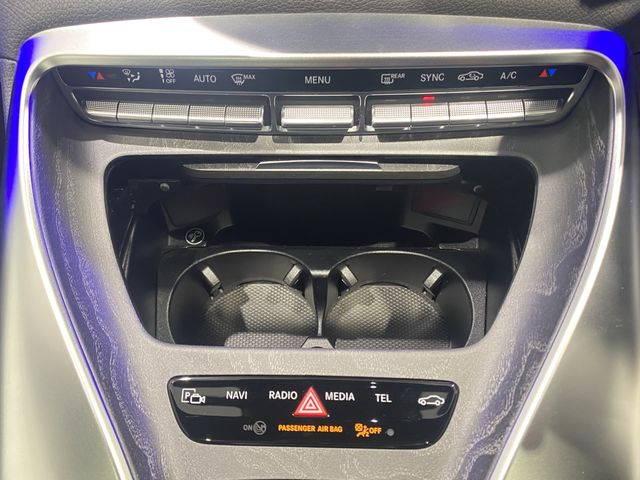 Amg GT 2019-11 24428-9