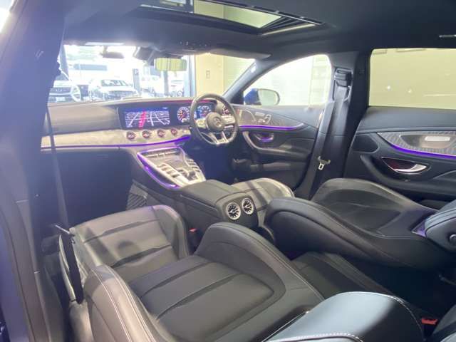 Amg GT 2019-11 24428-1