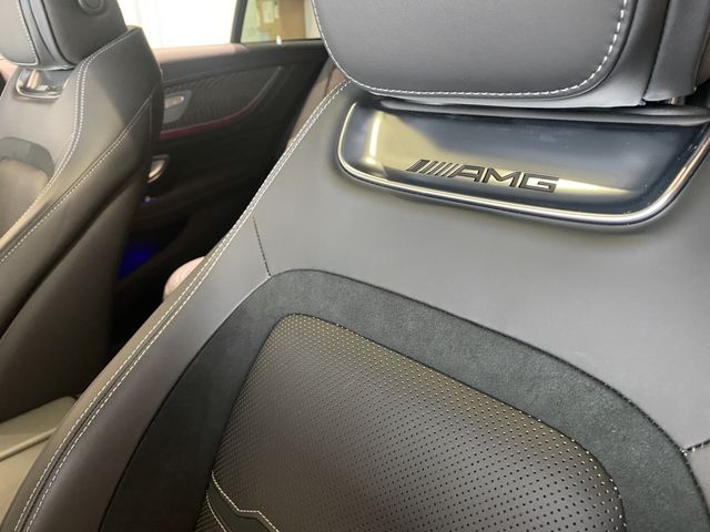 Amg GT 2019-11 24428-17