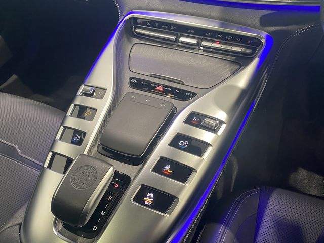 Amg GT 2019-11 24428-10