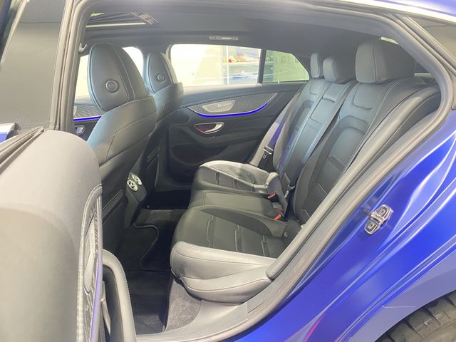 Amg GT 2019-11 24428-20
