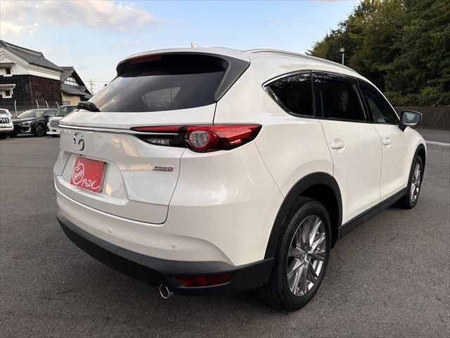 Mazda CX-8 2019-01 5912-4