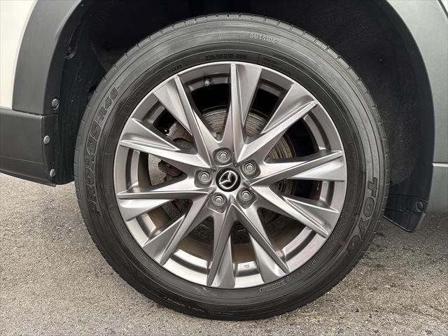 Mazda CX-8 2019-01 5912-13