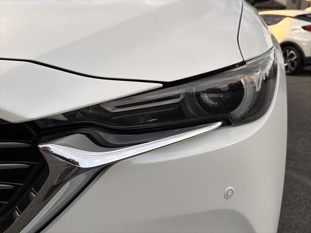 Mazda CX-8 2019-01 5912-8