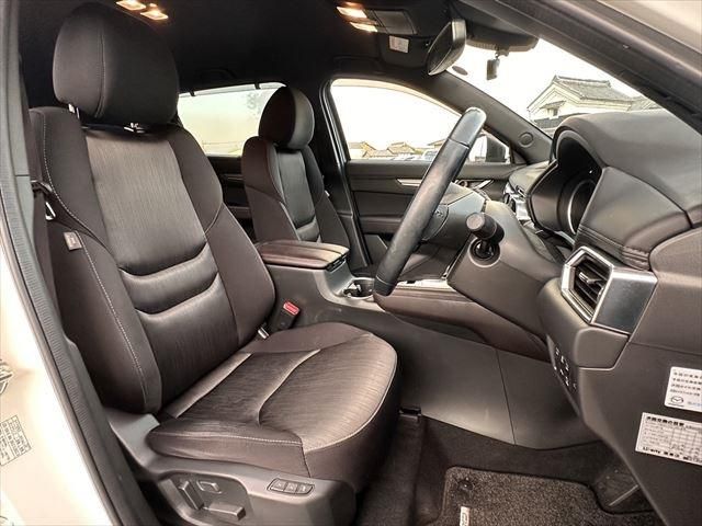 Mazda CX-8 2019-01 5912-17