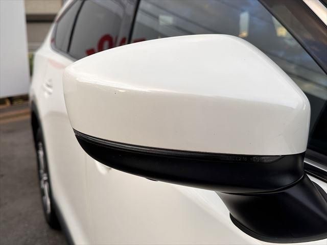 Mazda CX-8 2019-01 5912-11