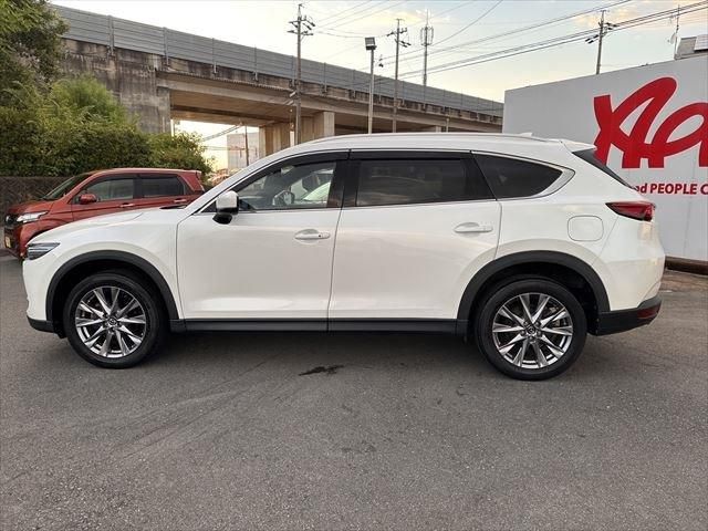 Mazda CX-8 2019-01 5912-7