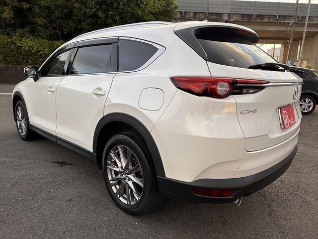 Mazda CX-8 2019-01 5912-6