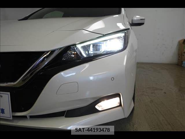 Nissan LEAF 2019-01 297875-5