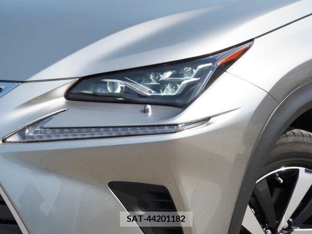 Lexus NX 2021-01 215514-7